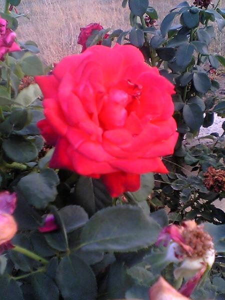 GWAD HDIHT IYANBNADM I3ZADARI